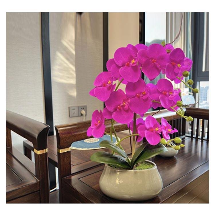 胡蝶蘭 造花 光触媒 3本立 陶器鉢入り アートフラワー 鉢花 お祝い