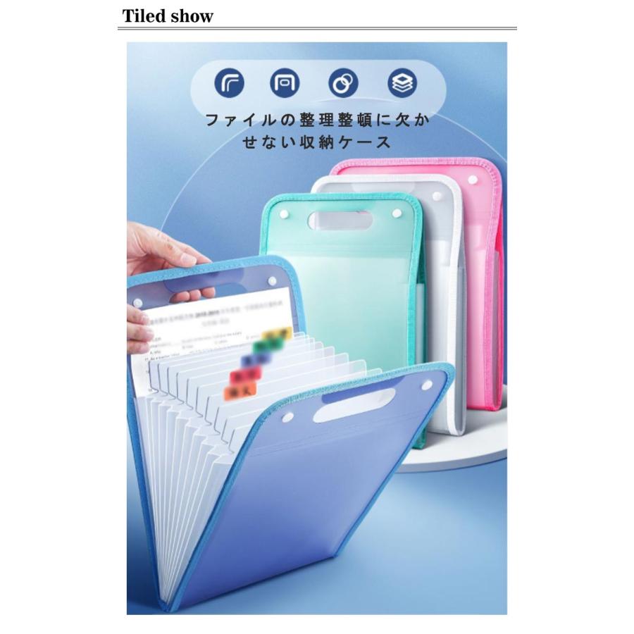ファイルケース a4 日用品 雑貨 文具 文房具 学校 13ポケット テスト