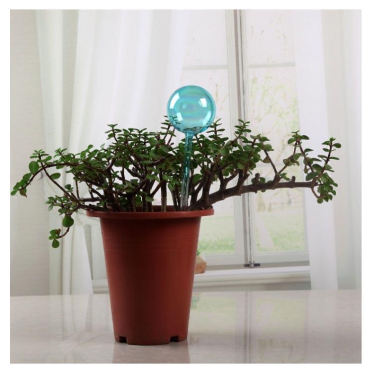 水差し 鉢植え 観葉植物 自動給水器 2個セット 自動水やり器 給水