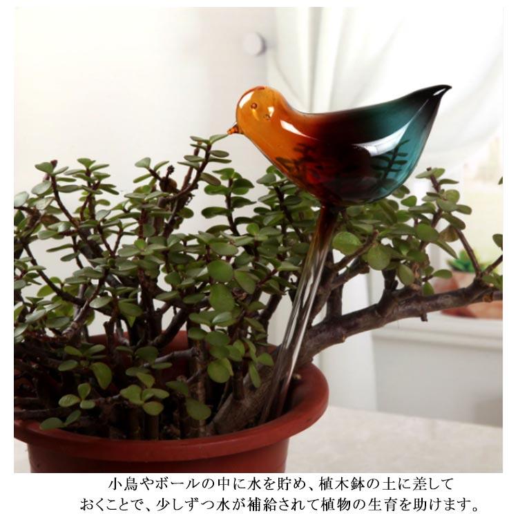 水差し 鉢植え 観葉植物 自動給水器 2個セット 自動水やり器 給水