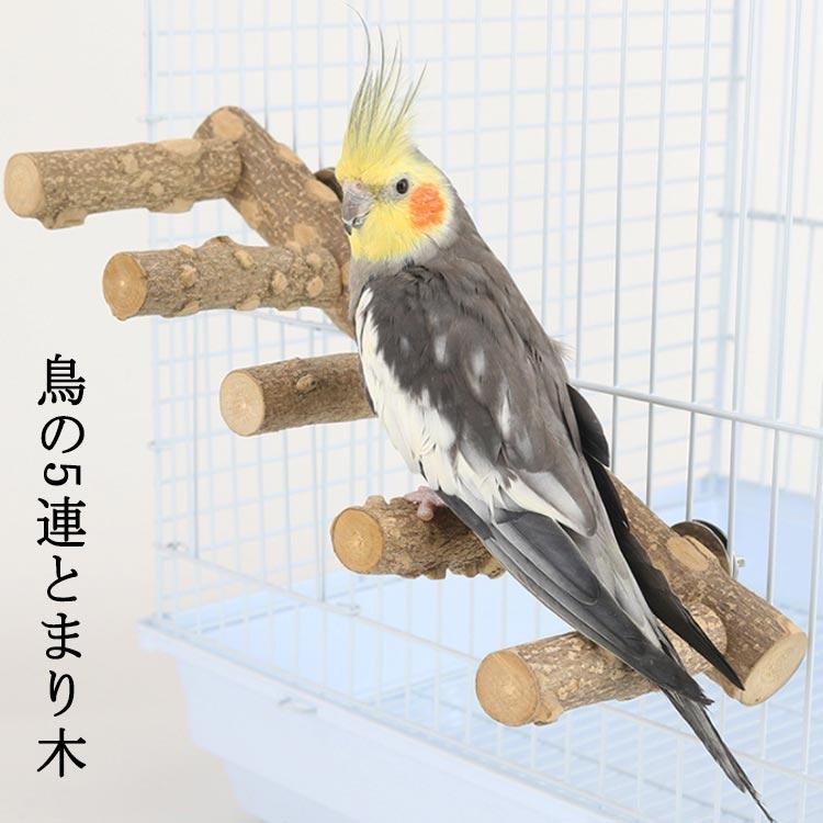 鳥用 5連 とまり木 天然木 鳥スタンド ステップ 階段 インコ 鳥