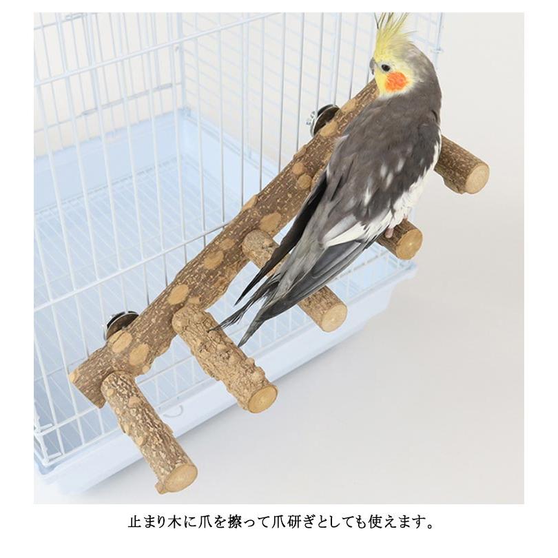 国産ヒノキ　鳥用止まり木　スタンド　アスレチック階段　約100センチ 鳥用 5連 とまり木 天然木 鳥スタンド ステップ 階段 インコ 鳥