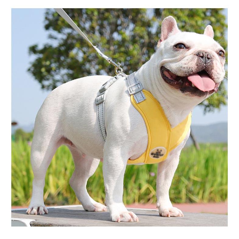 犬 ハーネス リード セット 小型犬 中型犬 負担軽減 超軽量 犬用 犬具