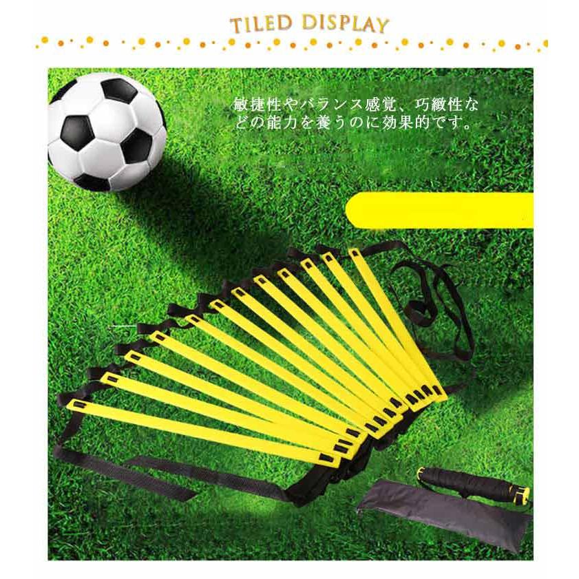 ラダートレーニング トレーニング用品 野球 陸上 室内 練習 器具