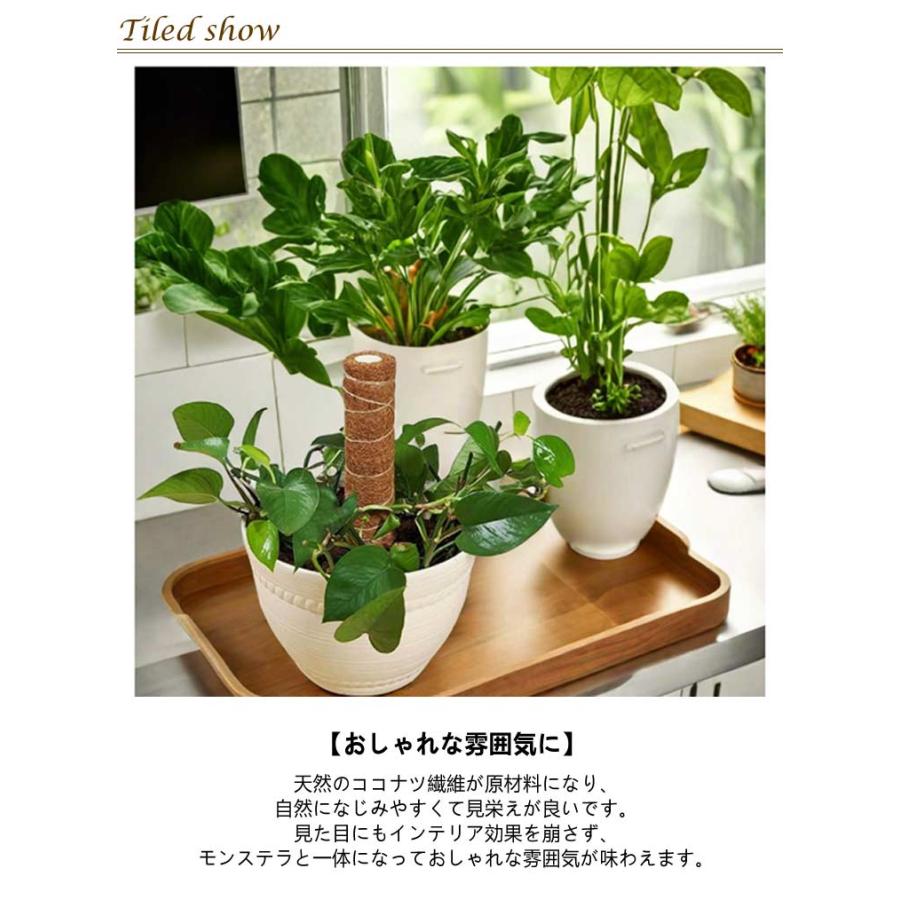 2本入 連結式 モンステラ 支柱 ココスティック 観葉植物 園芸支柱 植物