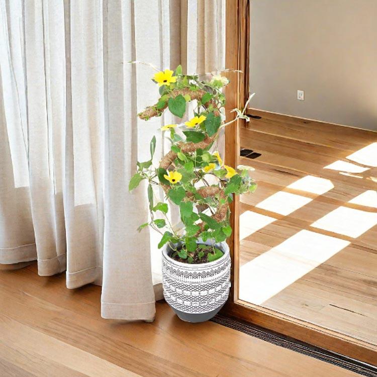 2本入 モンステラ 支柱 曲げられる ココスティック 観葉植物 園芸支柱