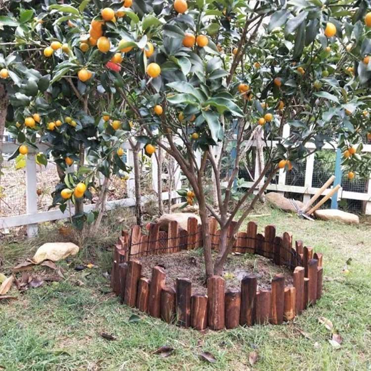 まとめ買い【庭装飾】木の幹ツリーオブジェ　仕切り フェンス クリスマスガーデン Amazon.co.jp: Lanito クリスマスツリー 飾り フェンス クリスマス