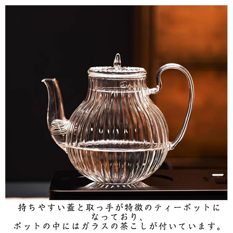 ティーポット 耐熱ガラス 急須 おしゃれ 北欧 透明 茶器 直火対応 大