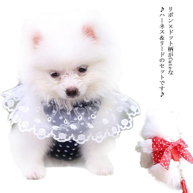 リード ハーネス 2点セット ドレスハーネス 犬 おしゃれ かわいい