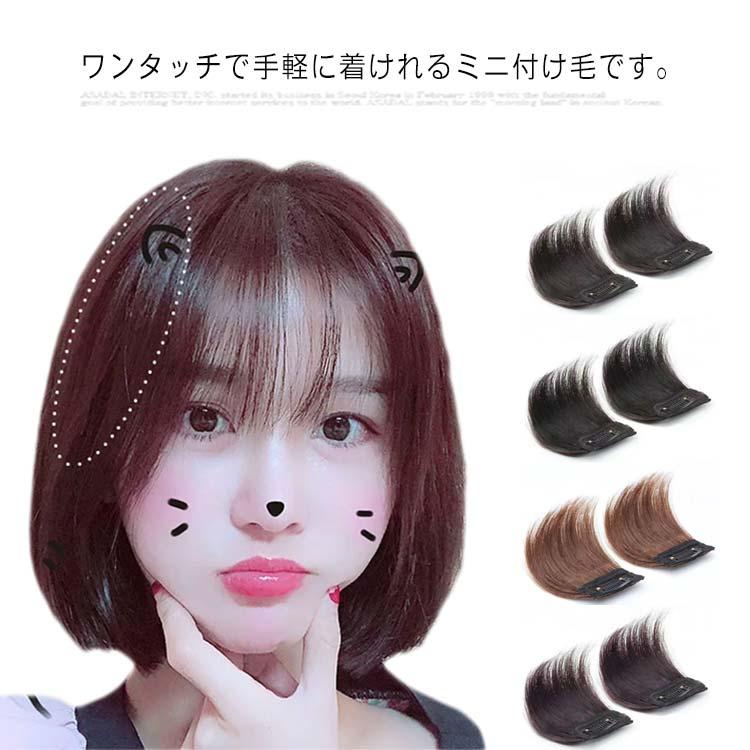人毛 部分ウィッグ　部分ウィッグ 人毛 ウィッグ かつら ポイントウィッグ ポイントウィッグ 部分ウィッグ 2個セット ミニつけ毛 送料無料 人毛