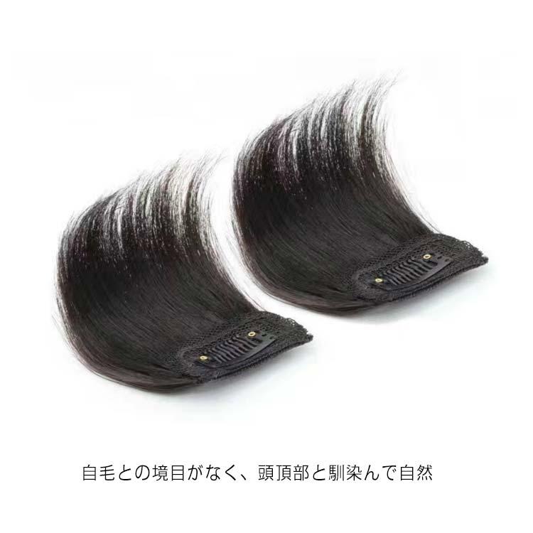 人毛 部分ウィッグ　部分ウィッグ 人毛 ウィッグ かつら ポイントウィッグ ポイントウィッグ 部分ウィッグ 2個セット ミニつけ毛 送料無料 人毛
