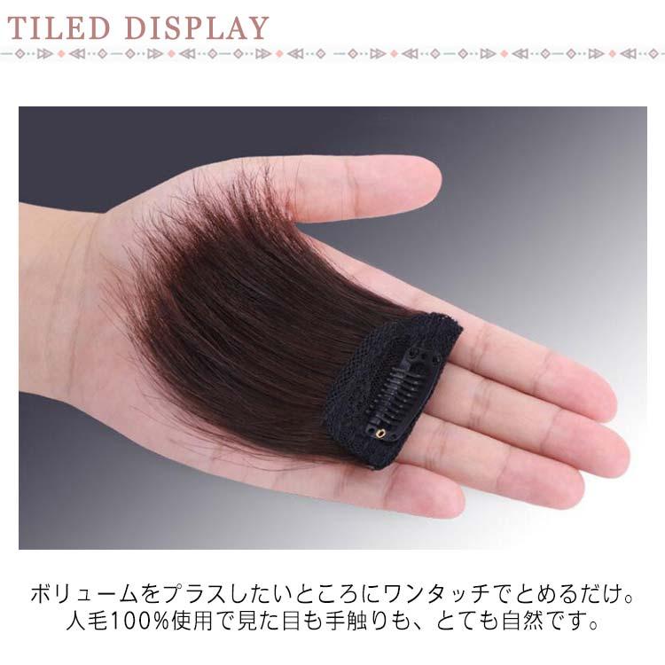 ポイントウィッグ 部分ウィッグ 2個セット ミニつけ毛 送料無料 人毛