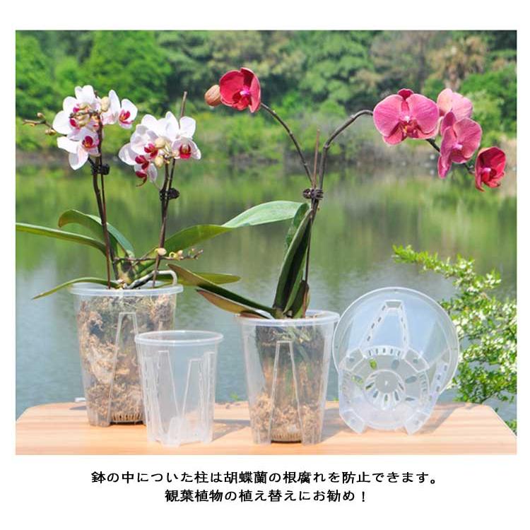 10鉢セット 胡蝶蘭 胡蝶蘭鉢 プランター 透明 鉢 植木鉢 洋蘭鉢 穴付き