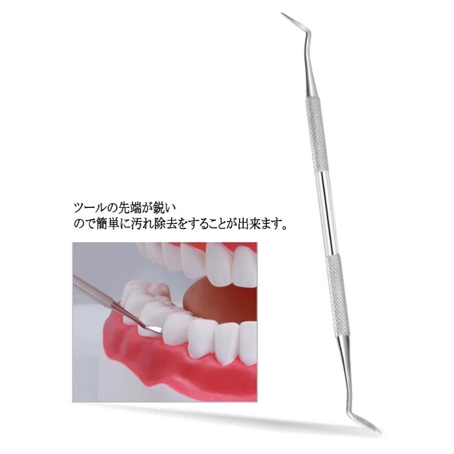 ケース付き 6点セット/収納ケース付 ヤニとり デンタルツール 歯垢