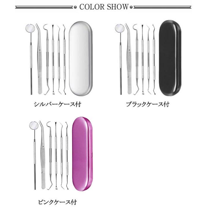 ケース付き 6点セット/収納ケース付 ヤニとり デンタルツール 歯垢