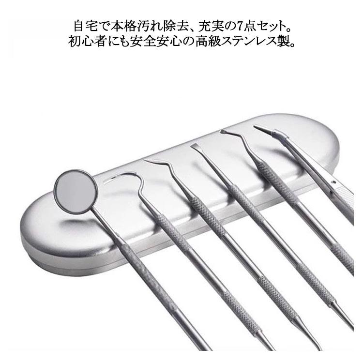 ケース付き 6点セット/収納ケース付 ヤニとり デンタルツール 歯垢