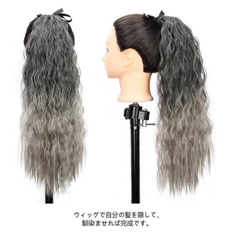 2本セット】ウェーブ エクステ グラデーション ヘアーエクステンション