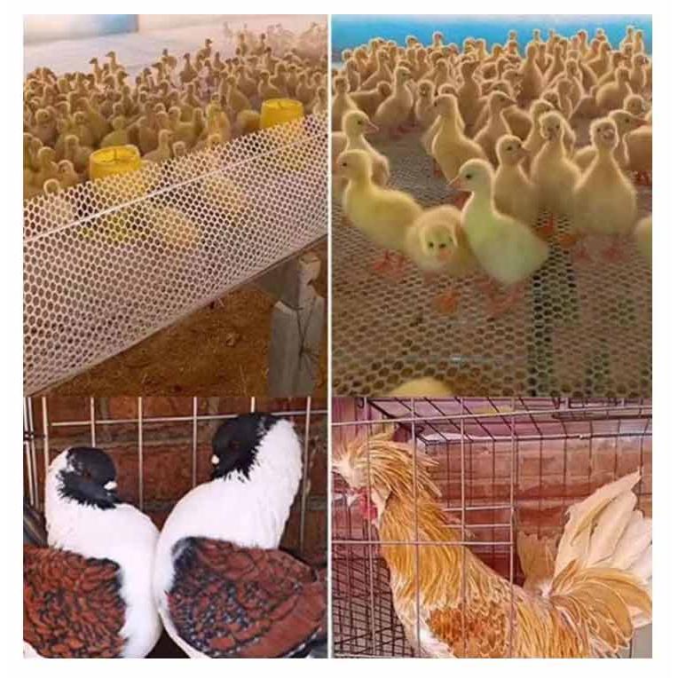 転落防止ネット ベランダ 階段 手すり用 安全ネット ベランダネット 階段転落防止ネット 安全対策 室内 子供 落下防止 吹き抜け 転落防止 ペット |  | 11