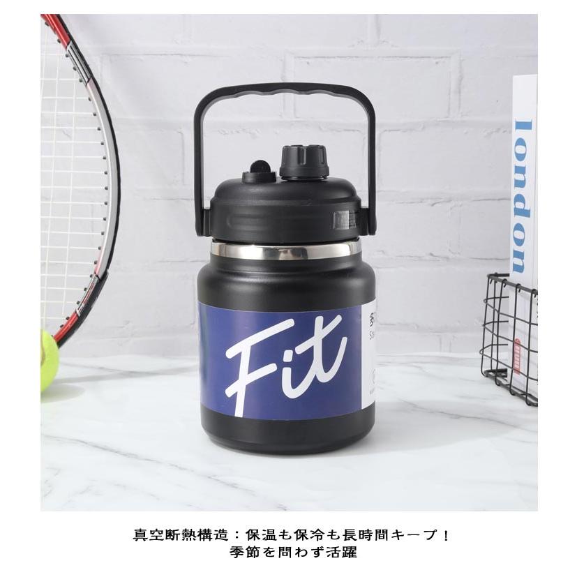 アイスコンテナ 2.5L 2L 容器 1.5L 溶けない 氷入れ アイスジャグ 保冷