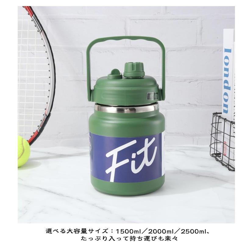 アイスコンテナ 2.5L 2L 容器 1.5L 溶けない 氷入れ アイスジャグ 保冷