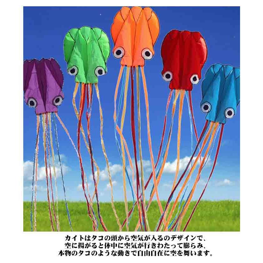 凧 カイト タコ 骨なしカイト 立体タコ 3Dカイト 凧揚げ 組み立て不要