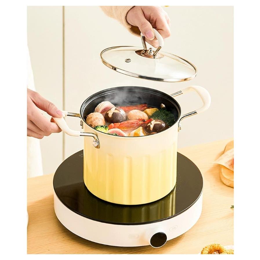 3L 天ぷら鍋 揚げ鍋 こし器付き ガラス蓋付き ステンレス 両手鍋 深型