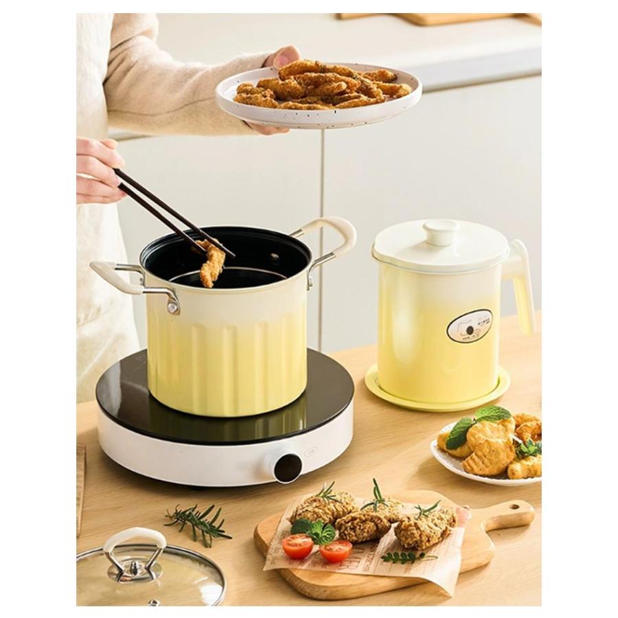 3L 天ぷら鍋 揚げ鍋 こし器付き ガラス蓋付き ステンレス 両手鍋 深型