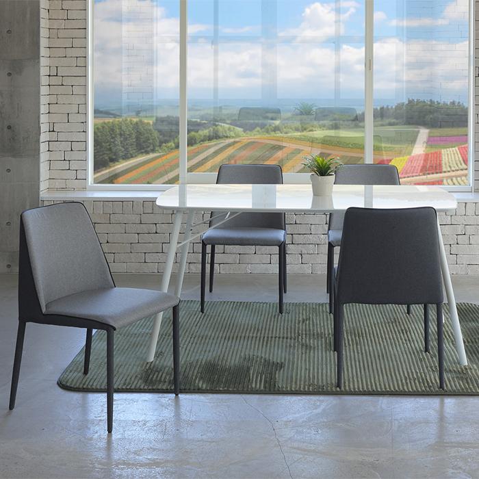 チェア 同色2脚入 完成品 セリオ 幅440x奥行545x高さ770mm あずま工芸