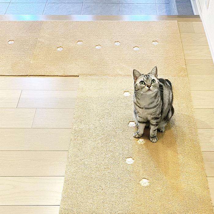 マット 廊下敷き 同色15枚入 てくてく肉球 Rugtasu 60x90cm ラグタスの画像