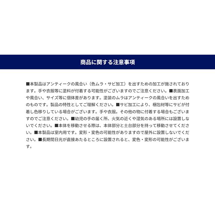 オブジェ 組立式 THE BLUE WHALE NB-0606 幅625x奥行190x高さ395mm ダルトン_6