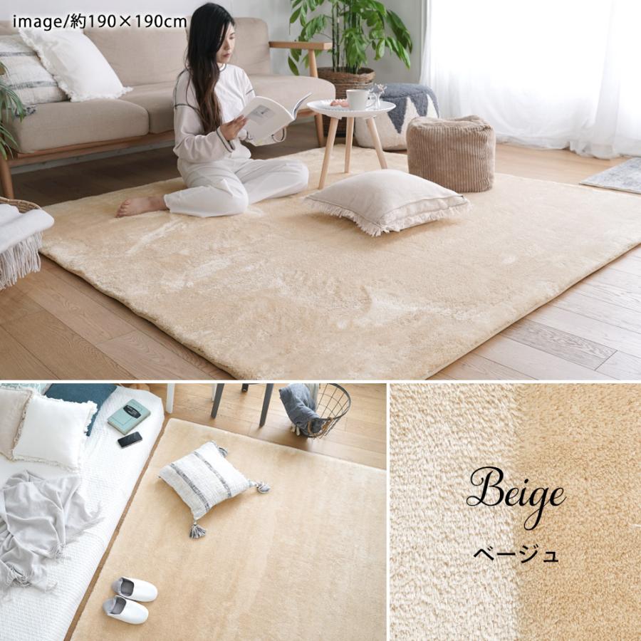 ERARE 新EXマイクロ2層ウレタンラグ 【190×240cmグレージュ ERARE 新EXマイクロ2層ウレタンラグ 【190×240cmグレージュ