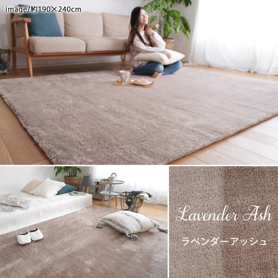 新EXマイクロ2層ウレタンラグ 【190×240cmグレージュ長方形】洗濯機