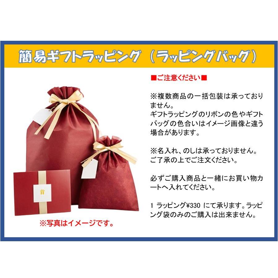 拡張可能 大容量 DaySling2.0 スリングバッグ Explorer Pro 防水 防刃 収納力 マチ拡張 メンズ 約 H：38cm W： 23cm D：9cm (拡張時: 24cm) 大容量 防水