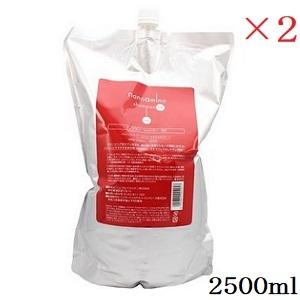 ニューウェイジャパン - ナノアミノ シャンプー DR 2500ml ×2仕掛ける シャンプー-ヘアケア