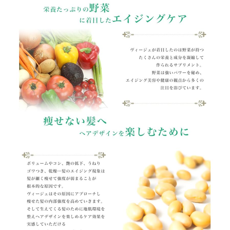 ルベル ヴィージェ トリートメントＶ 2500ml レフィル 詰替用 ×2セットの画像