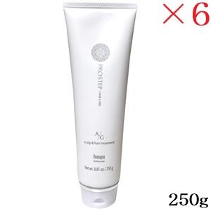 hoyu　ホーユープロフェッショナル　プロステップ　A/Gトリートメント　250g×6点セット ホーユー プロステップ ヘアケア A/Gスキャルプ＆ヘアトリートメント