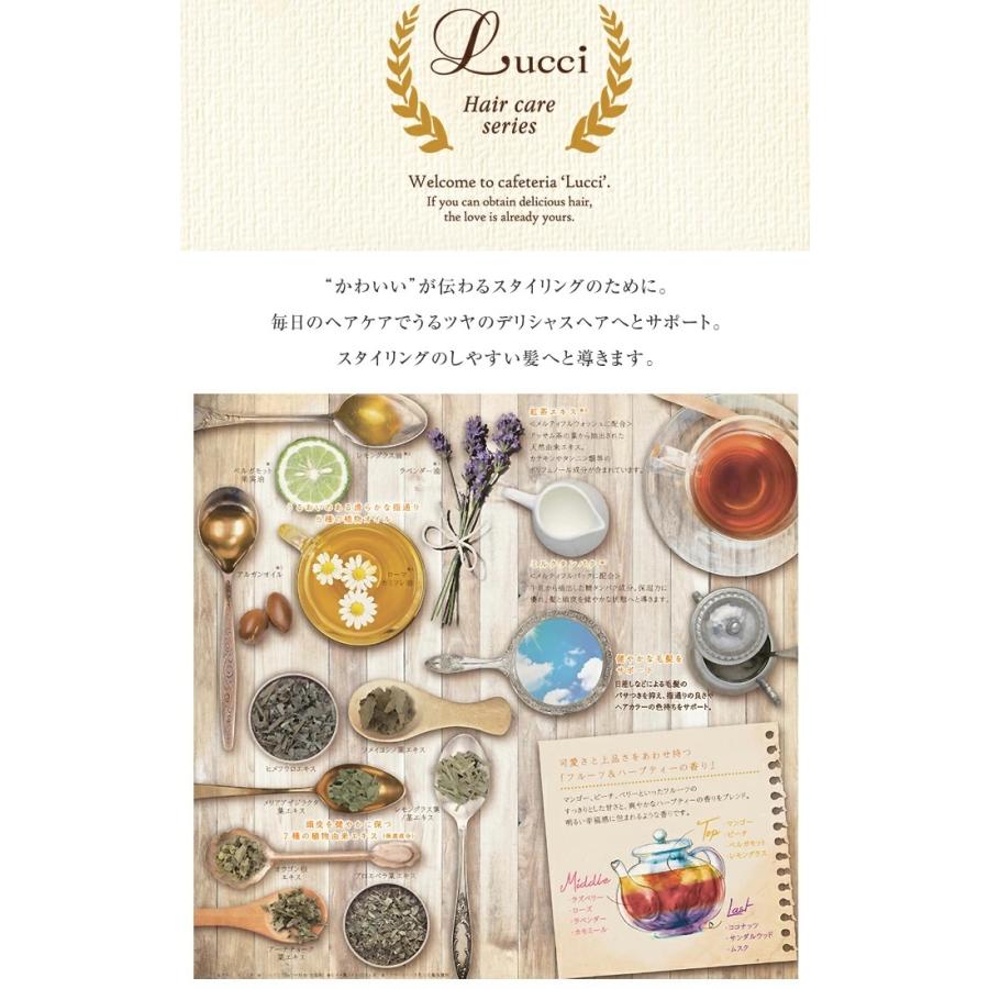 MIAN ミアン (フォード) ルッチ メルティフルウォッシュ 245ml ×12セット_1