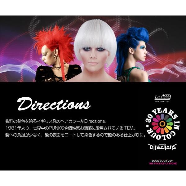 ヘアマニキュア ディレクションズヘアカラー 100ml FLAMINGO PINK