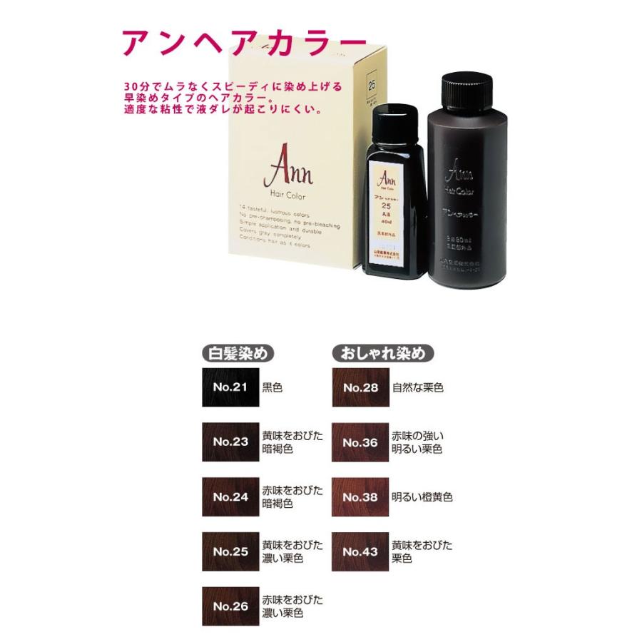 アン ヘアカラー 1剤40ml/2剤80ml 24 赤味をおびた暗褐色 (ヘアカラー