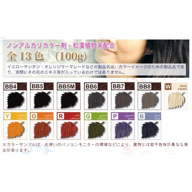 和漢彩染 BB8 イエローサルタン　bb4.5 bb6 レッドカラント　38個 日本グランデックス化粧品（Grandex Cosmetics） グランデックス 和漢