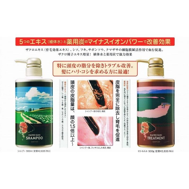 SUNNY PLACE（サニープレイス） ザクロ精炭酸シャンプー 800ml