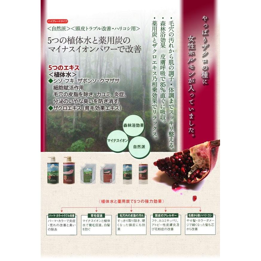 SUNNY PLACE（サニープレイス） ザクロ精炭酸シャンプー 800ml