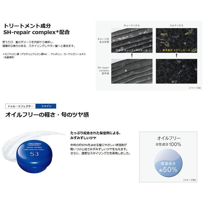SHISEIDO 資生堂プロ ステージワークス トゥルーエフェクター