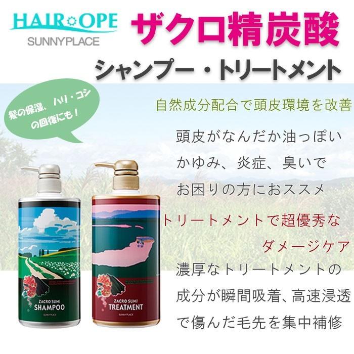 サニープレイス ザクロ精炭酸シャンプー 800ml ボトル + ザクロ精炭酸トリートメント 800g ボトル｜atbeauty｜02