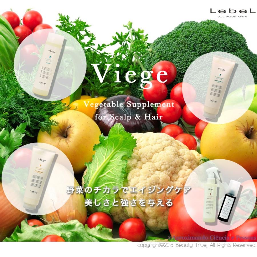 LebeL（ルベル） ヴィージェ シャンプー 1000ml + ヘアトリートメント