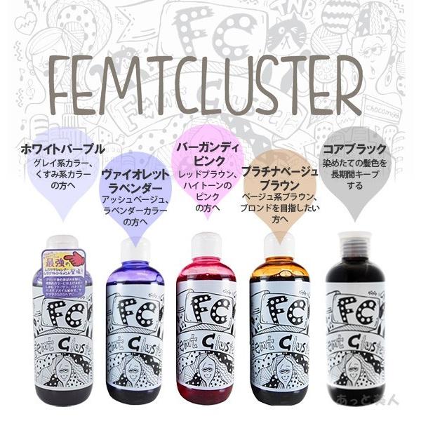 フェムトクラスター FC カラーキープシャンプー 250ml ヴァイオレット