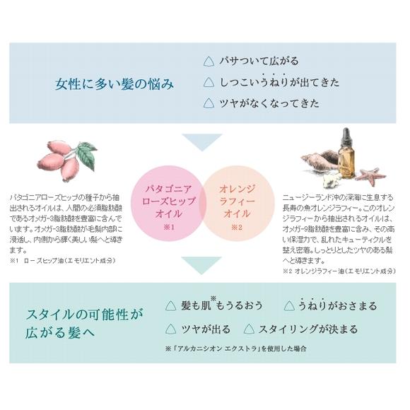 （3個セット）DEMI デミ パタゴニックオイル アルカニシオン エクストラ 80mL 洗い流さないトリートメント ヘアオイル ボディオイル サロン専売品の画像