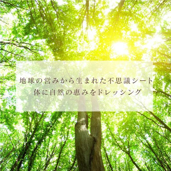 【中古】 自然のパワーで健康は蘇る 樹木のエネルギーが人に効く、不思議樹液シートのフシ/Ｊパブリッシング/自然派健康推進プロジェクト 足裏シート 老廃物 樹液シート フットケア 足裏樹液シート むくみ 解消
