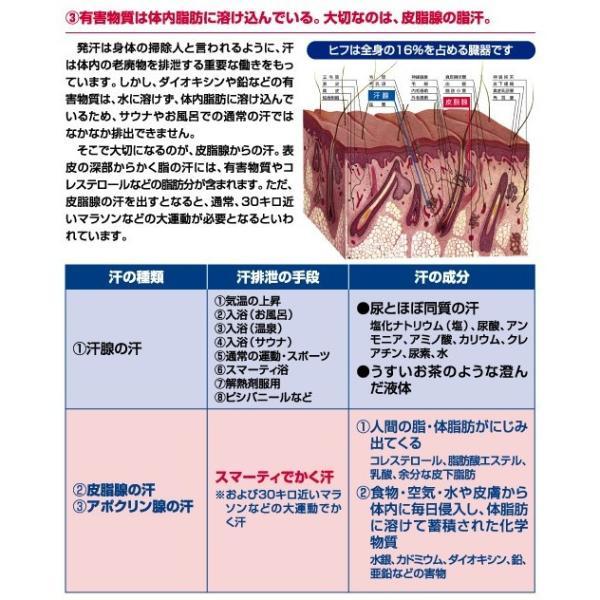フジカ スマーティ F4-NX型 正規品 遠赤外線ドーム型サウナ デジタル式