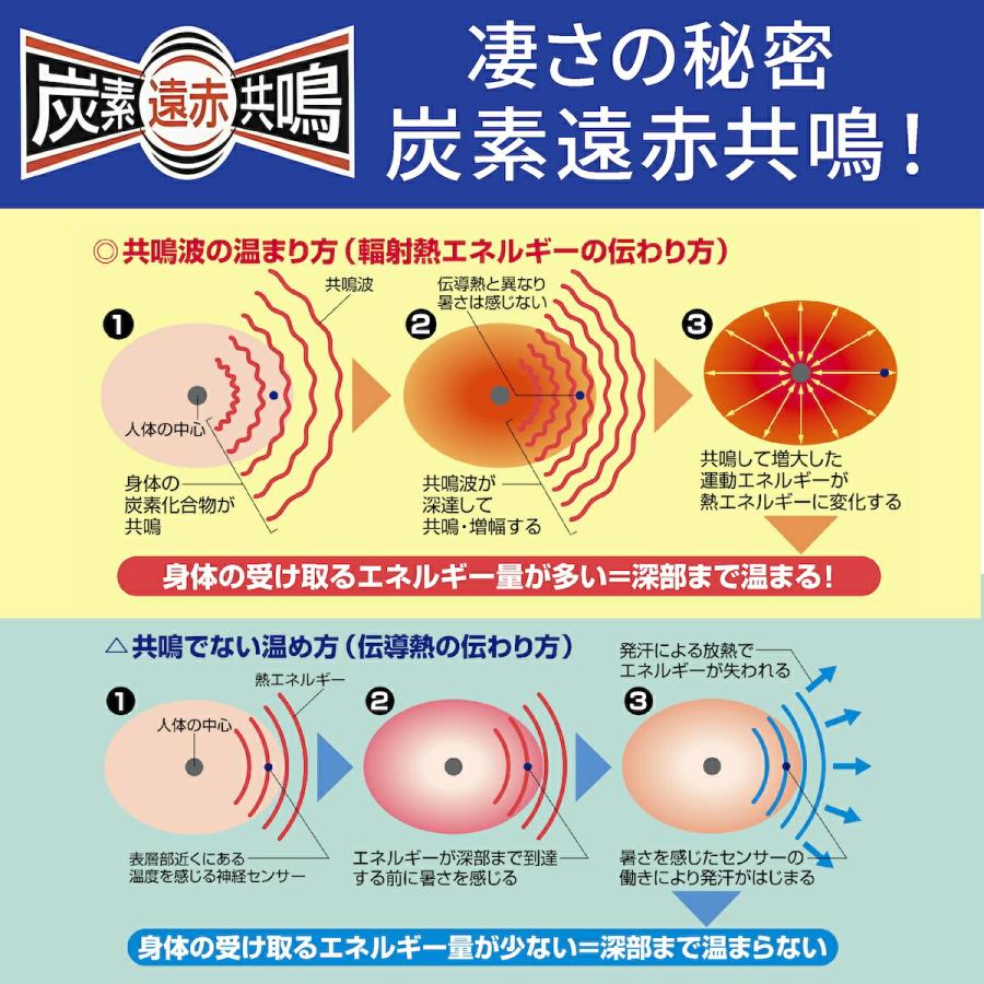 フジカ スマーティ F4-NX型 正規品 遠赤外線ドーム型サウナ まっすぐ